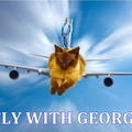 Fly with George