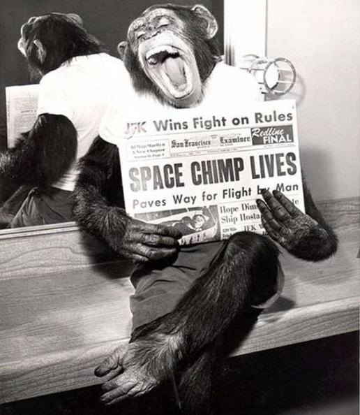 Ham the Chimp, also known as Ham the Astrochimp, was the first Hominidae to take a space flight