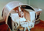 This is Laika, the first animal ever to be sent up into orbit