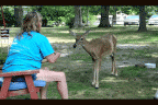 Big Moma being hand fed