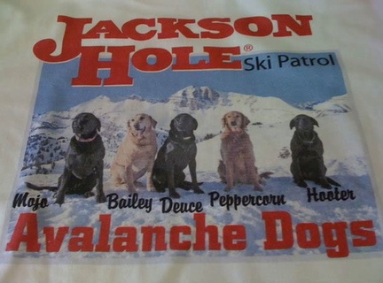 Ski-Patrol-Dogs