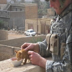 Soldier feeding a cat