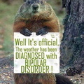 1 groundhogs opinion