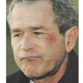 Bush-Pretzel-Choke