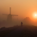 Morning Cyclist - Netherlands