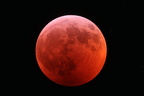 Blood Wolf Moon 1-20-2019