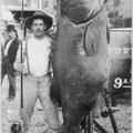 The biggest seabass on record was caught by the man pictured, Edward Llewellen