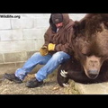 When your bear had a hard day and needs some extra love....