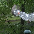 Squirrel on Bird Feeder - and not getting any seeds!