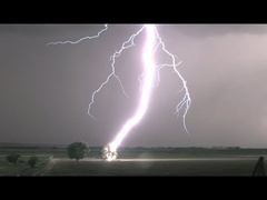 Lightning Striking Tree in 4K - Tree Catches on Fire !!!