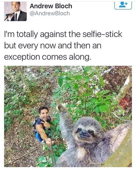 Selfie Sticks.jpg