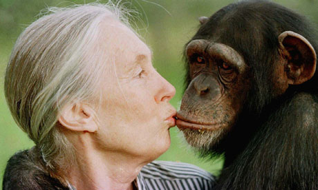Jane Goodall KISSING-TESS.jpg