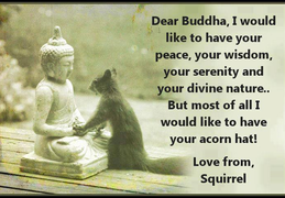 Buddah and squirel