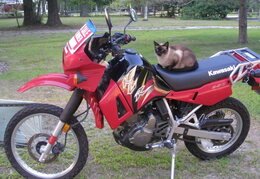 Kawasaki 2004 KLR 650 - 2